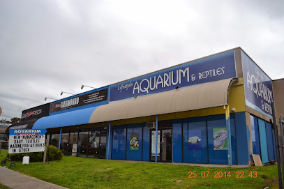 Lifestyle Aquarium & Reptiles