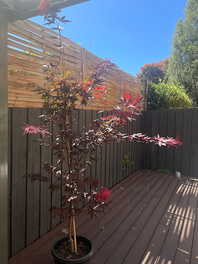 Impressive Plants