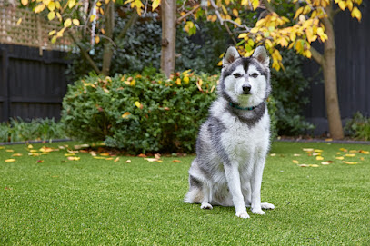 Easy Turf Artificial Grass Melbourne Australia
