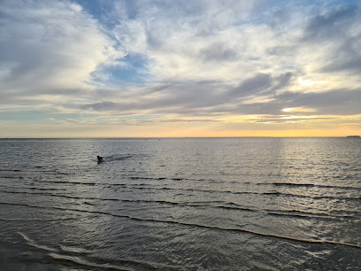 Ricketts Point Dog Off Leash Area