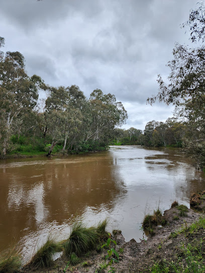 Dights Falls Loop Trail