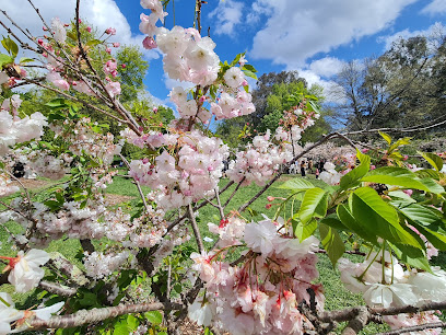 Banksia Park