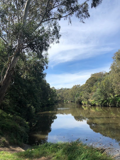 Main Yarra Trail Kew