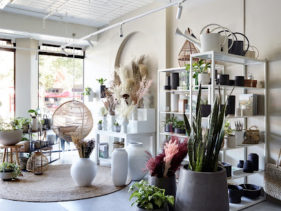 Aura Home South Melbourne Concept Store