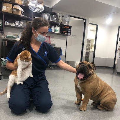 Melbourne Bulldog Clinic