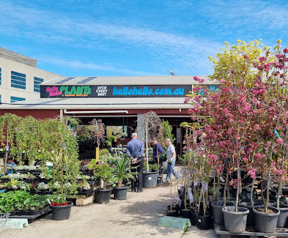 Hello Hello Plants & Garden Supplies