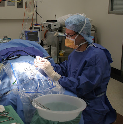 MELBOURNE EAR SPECIALISTS